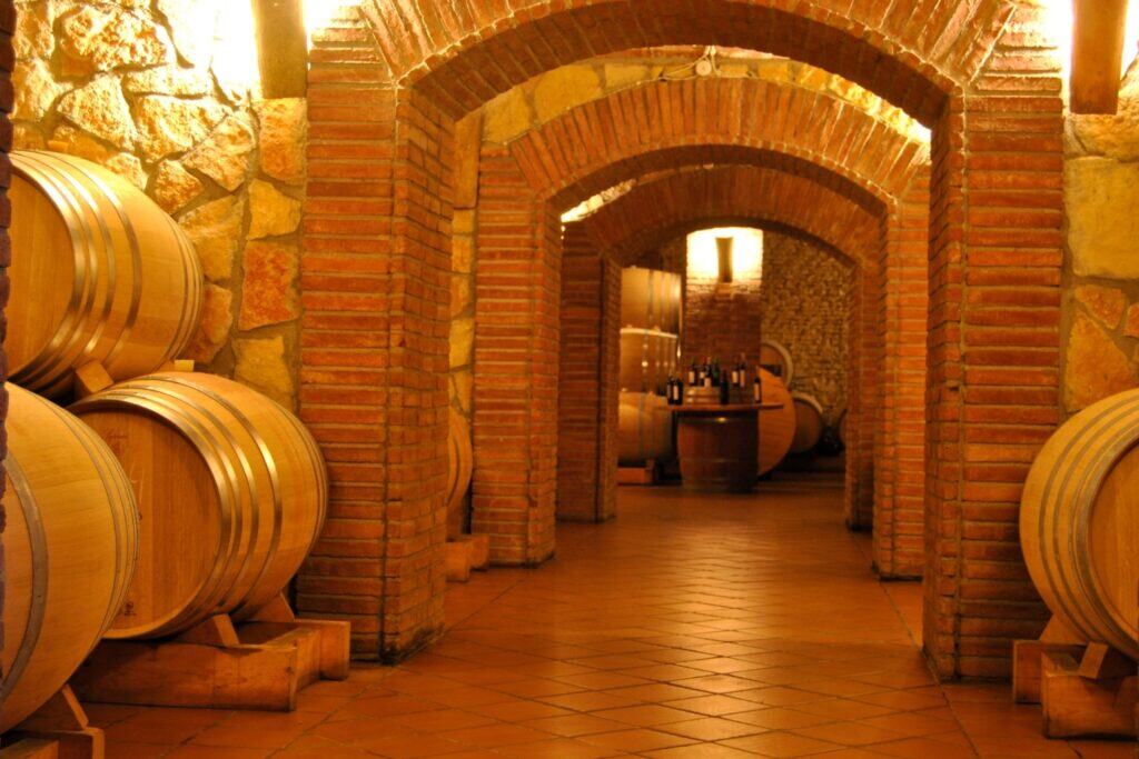 Paisajes del Vino