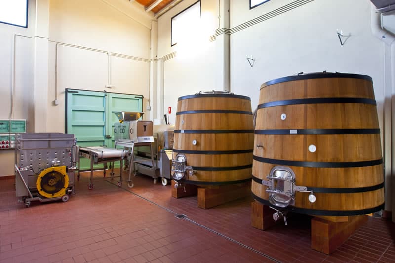 Paisajes del Vino